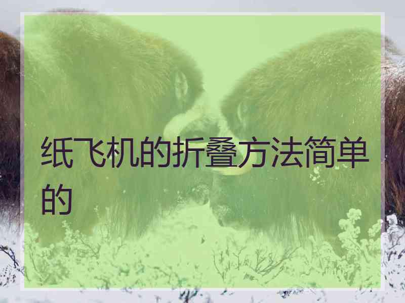 纸飞机的折叠方法简单的