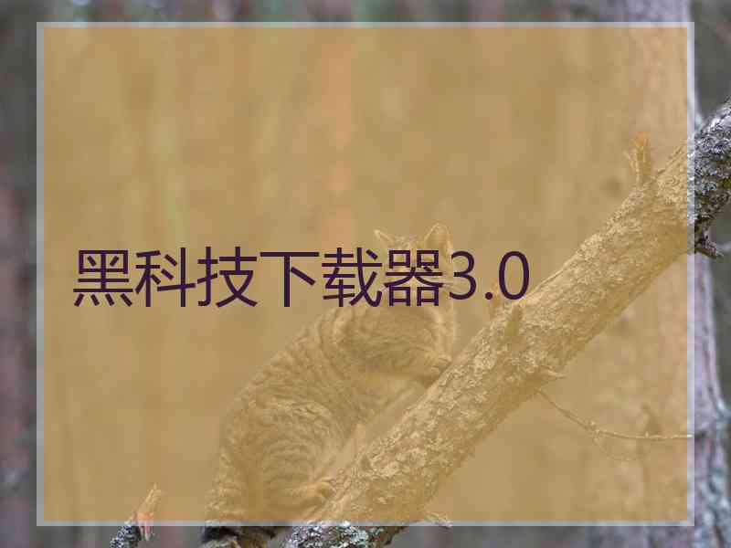 黑科技下载器3.0