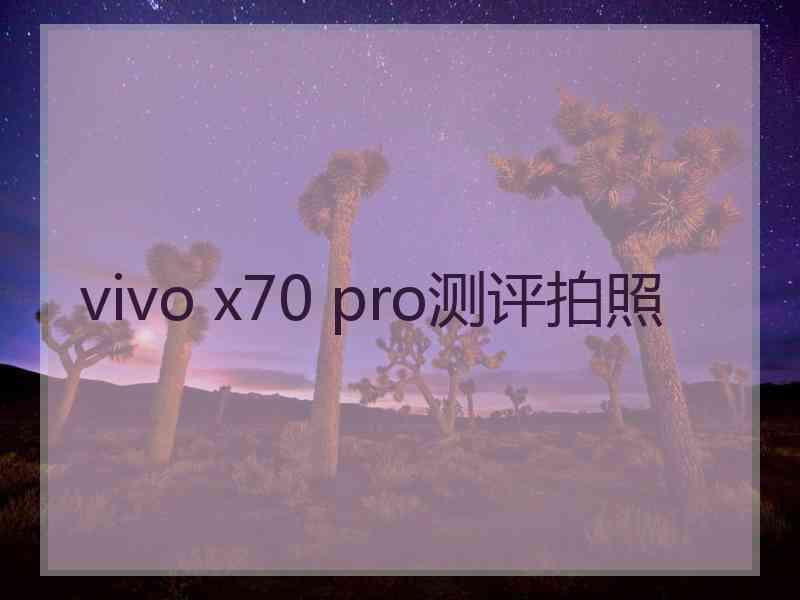 vivo x70 pro测评拍照