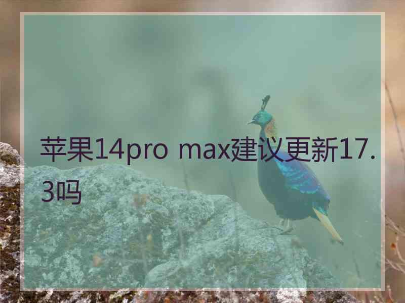 苹果14pro max建议更新17.3吗