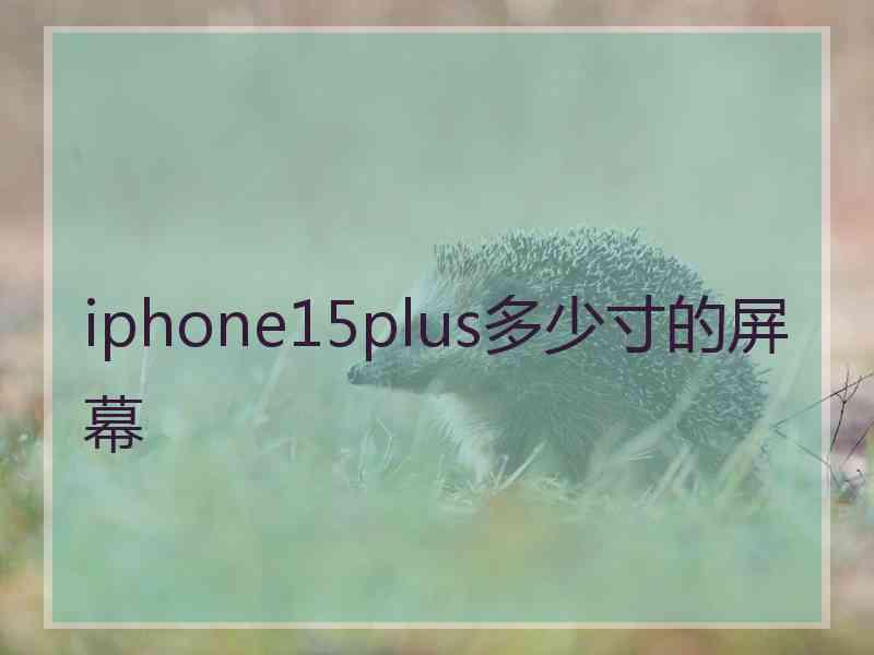 iphone15plus多少寸的屏幕