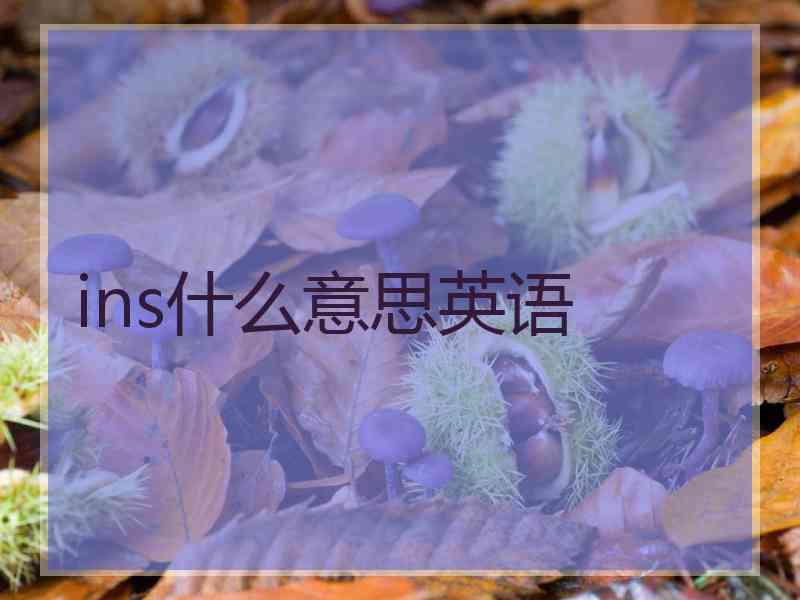 ins什么意思英语