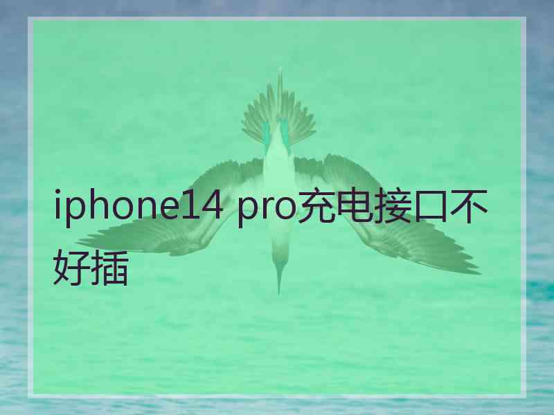 iphone14 pro充电接口不好插