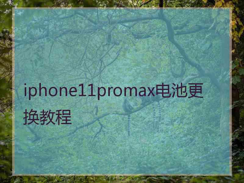 iphone11promax电池更换教程