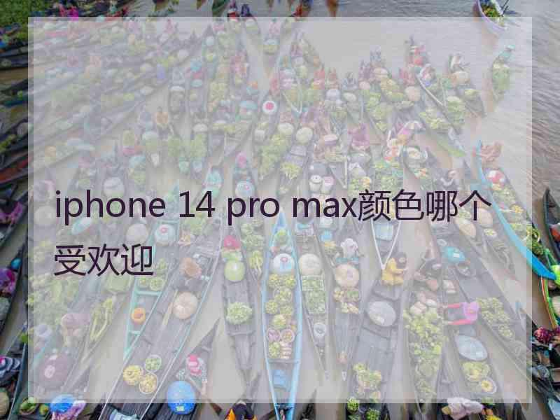 iphone 14 pro max颜色哪个受欢迎