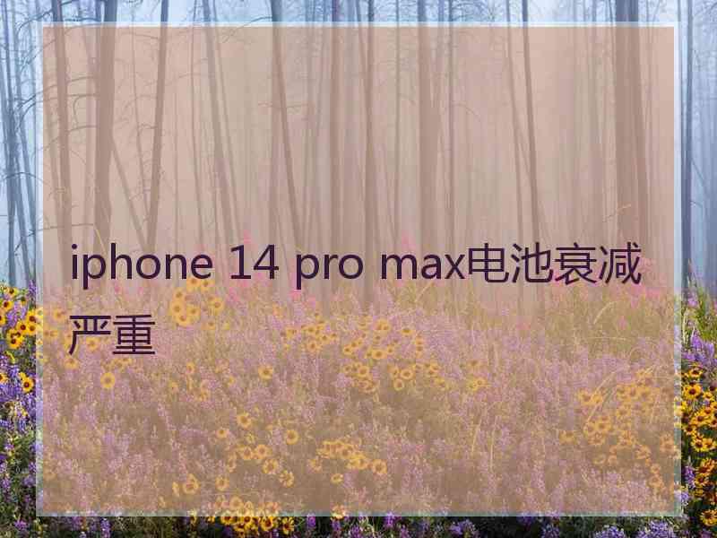 iphone 14 pro max电池衰减严重