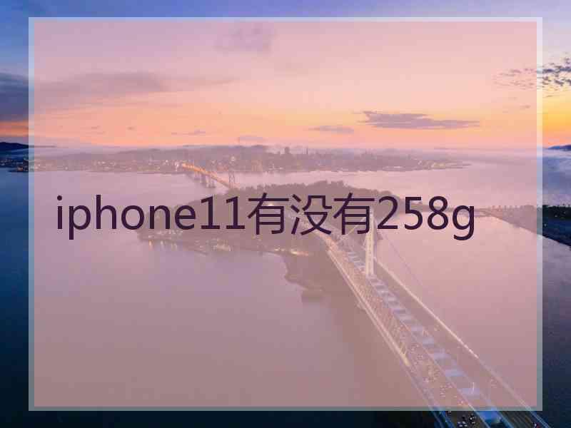 iphone11有没有258g