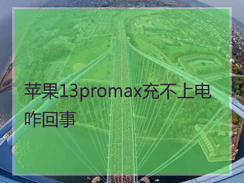 苹果13promax充不上电咋回事