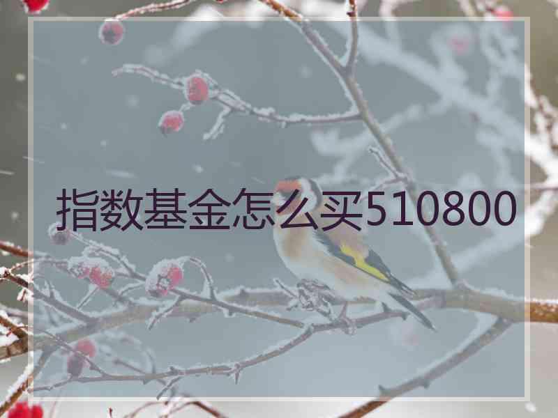 指数基金怎么买510800