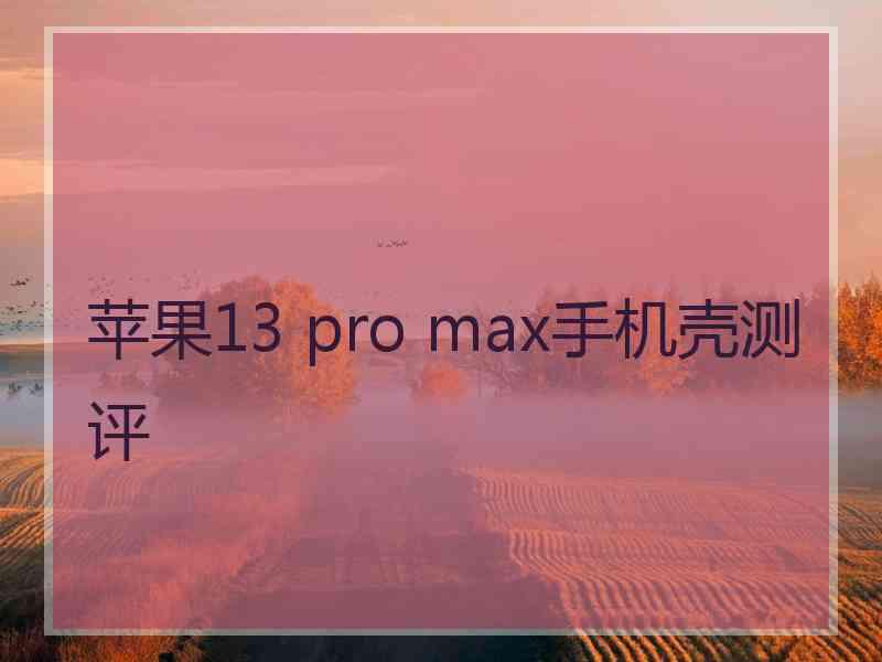 苹果13 pro max手机壳测评