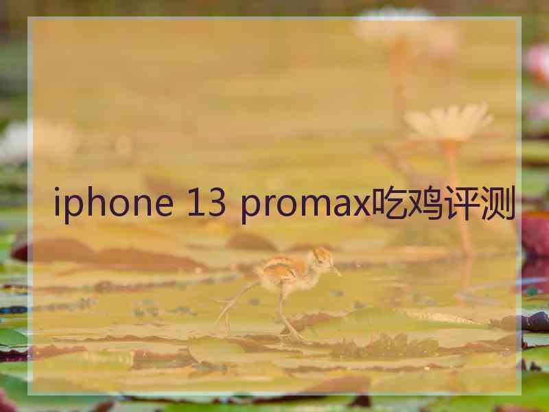 iphone 13 promax吃鸡评测