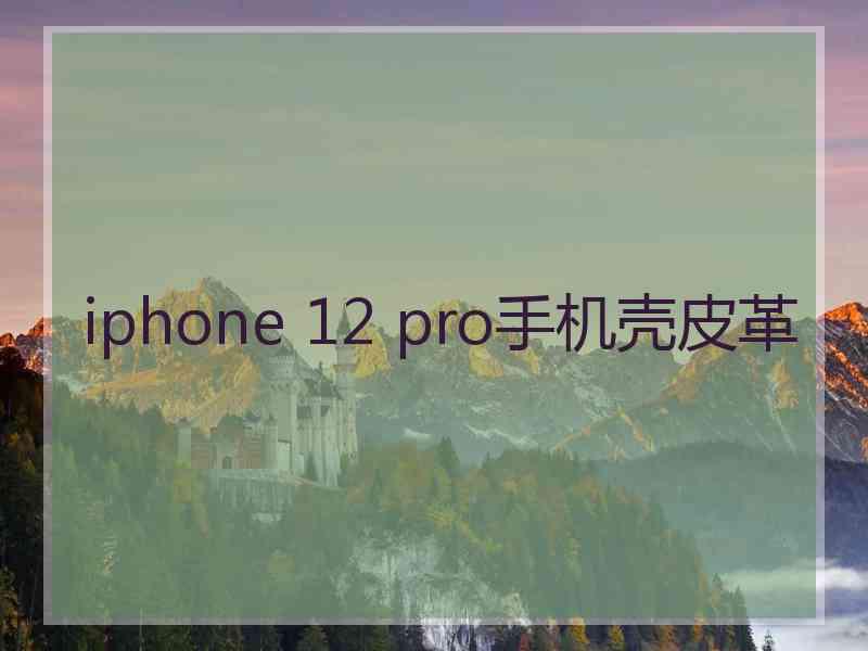 iphone 12 pro手机壳皮革