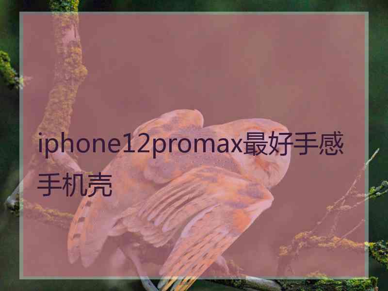 iphone12promax最好手感手机壳