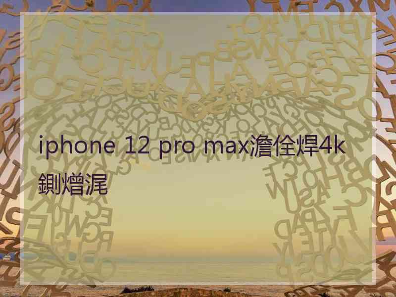 iphone 12 pro max澹佺焊4k鍘熷浘