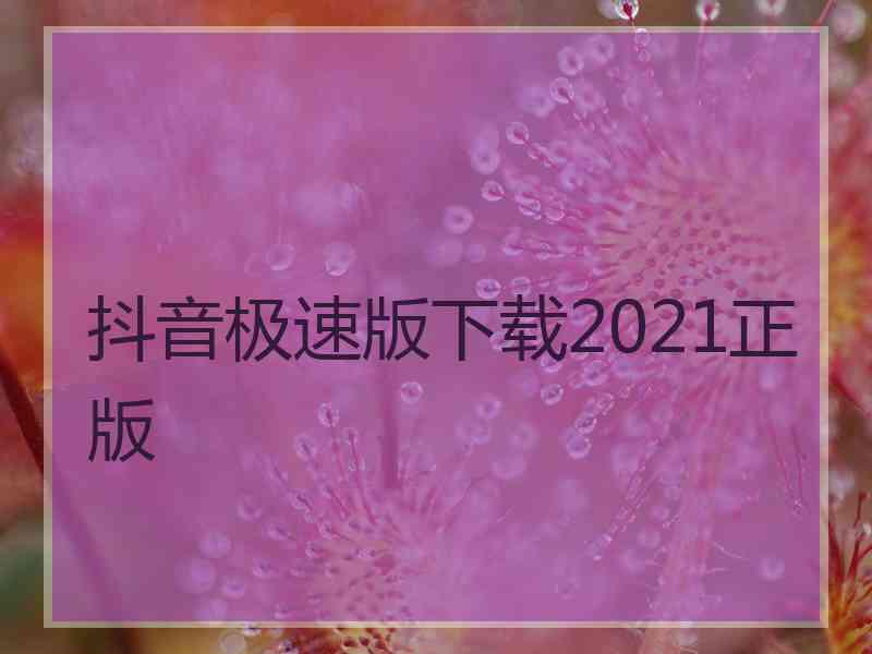 抖音极速版下载2021正版