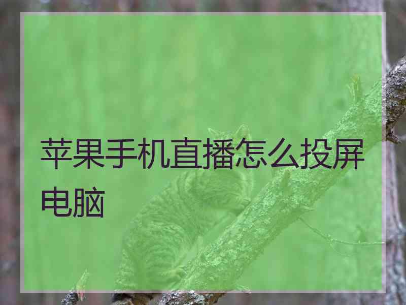 苹果手机直播怎么投屏电脑