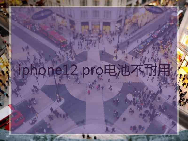 iphone12 pro电池不耐用