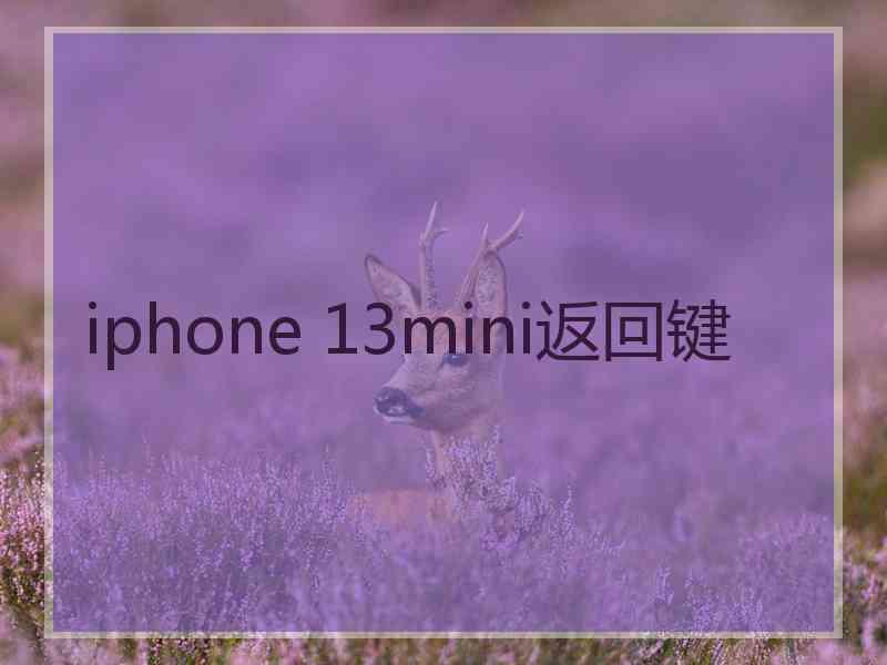 iphone 13mini返回键