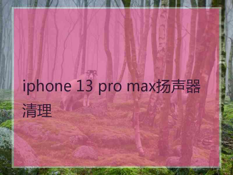 iphone 13 pro max扬声器清理