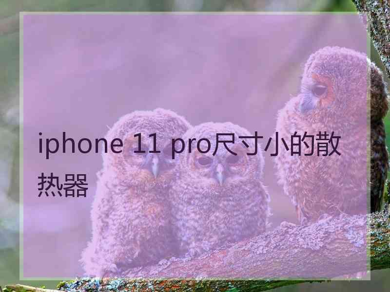 iphone 11 pro尺寸小的散热器