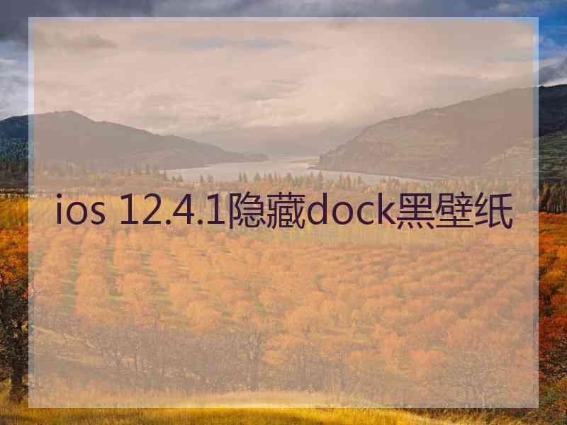 ios 12.4.1隐藏dock黑壁纸