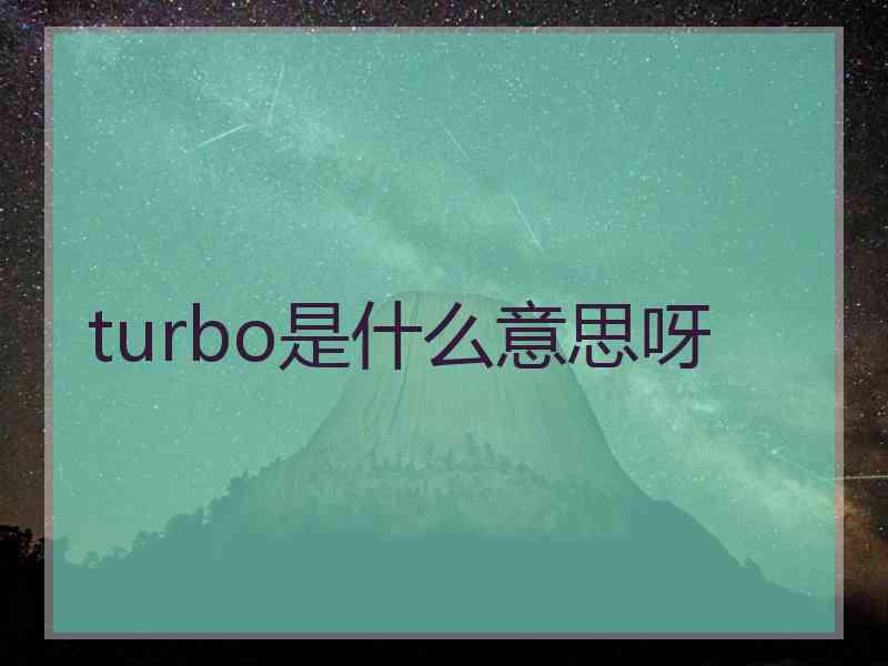 turbo是什么意思呀