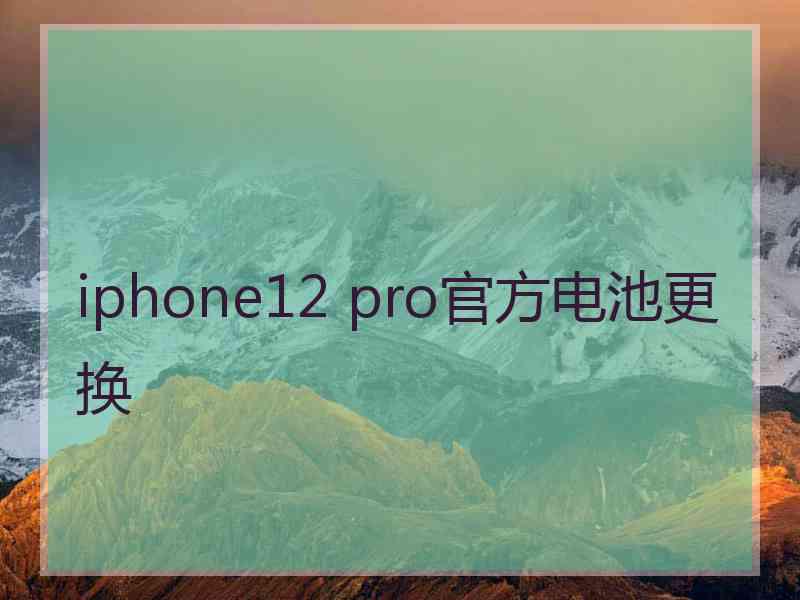 iphone12 pro官方电池更换