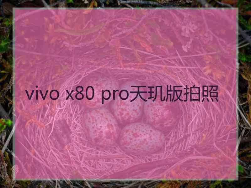 vivo x80 pro天玑版拍照