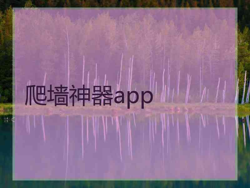 爬墙神器app