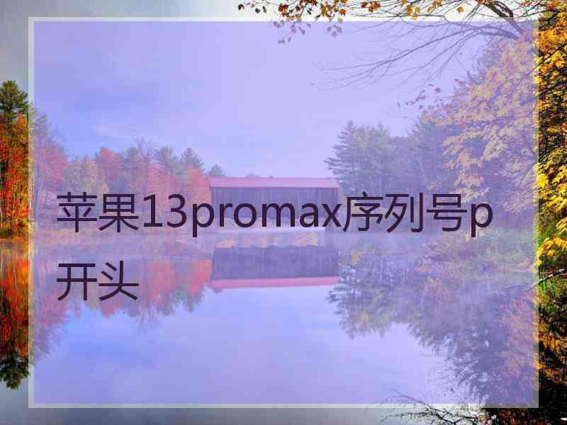 苹果13promax序列号p开头