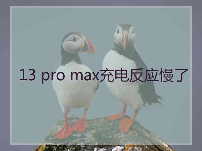 13 pro max充电反应慢了