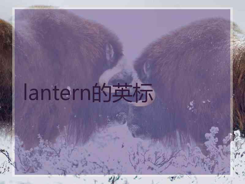 lantern的英标