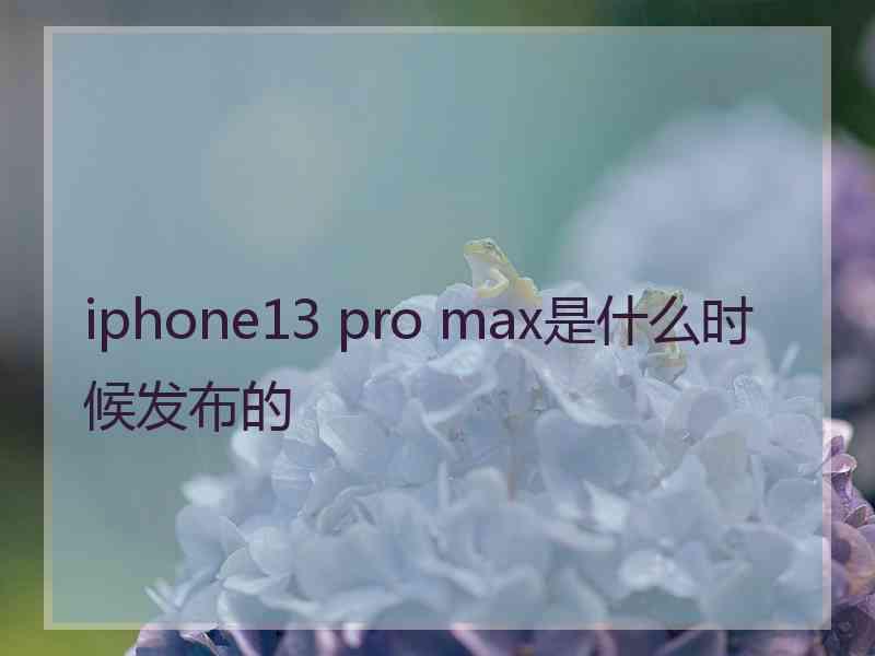 iphone13 pro max是什么时候发布的