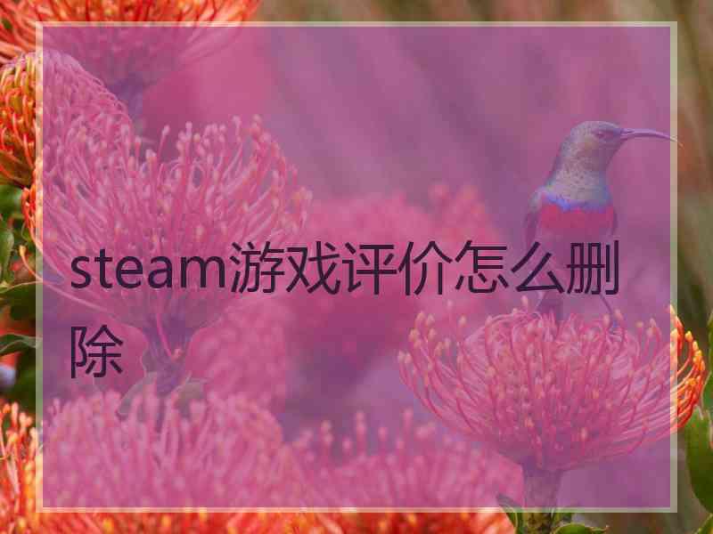 steam游戏评价怎么删除