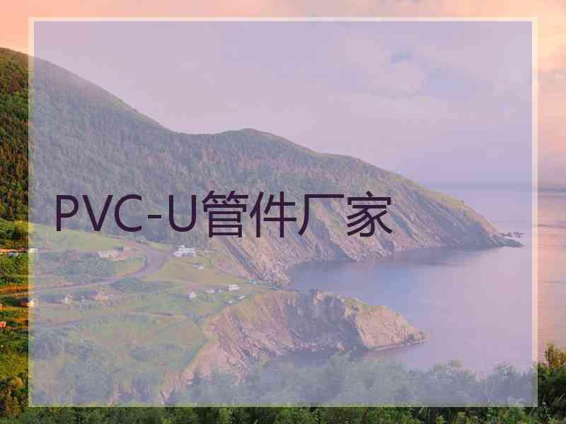 PVC-U管件厂家