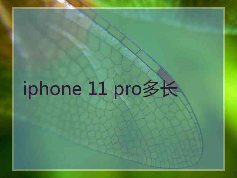 iphone 11 pro多长