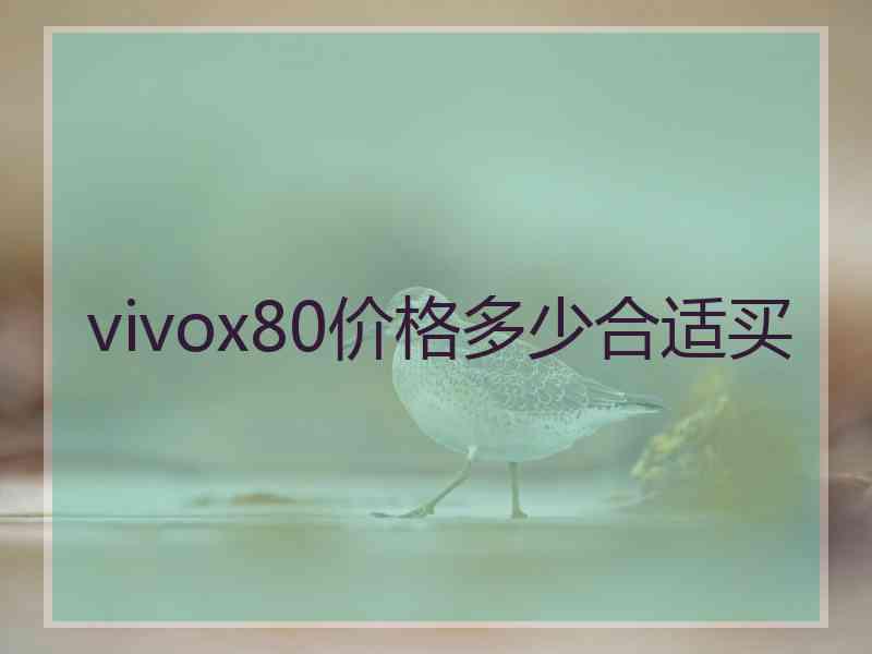 vivox80价格多少合适买