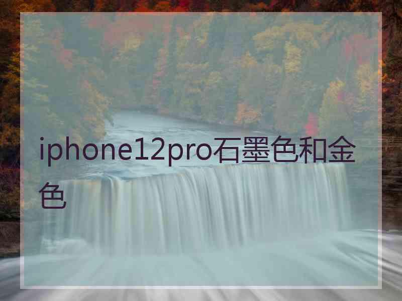 iphone12pro石墨色和金色