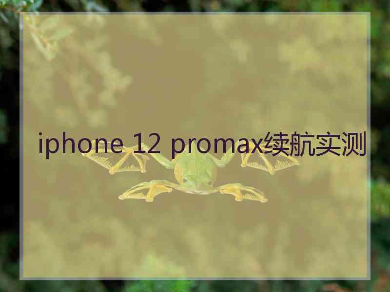 iphone 12 promax续航实测