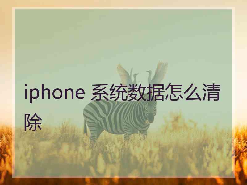 iphone 系统数据怎么清除