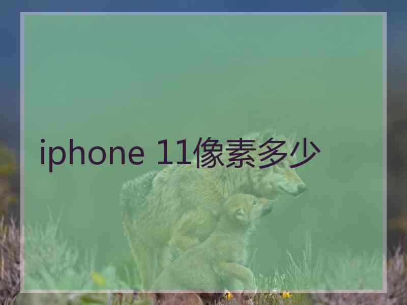 iphone 11像素多少