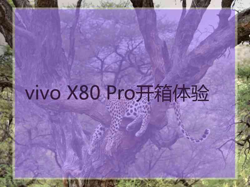 vivo X80 Pro开箱体验