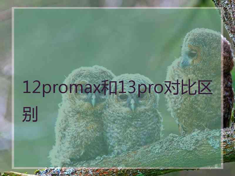 12promax和13pro对比区别