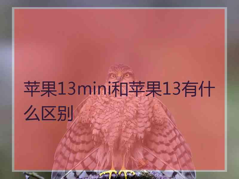 苹果13mini和苹果13有什么区别