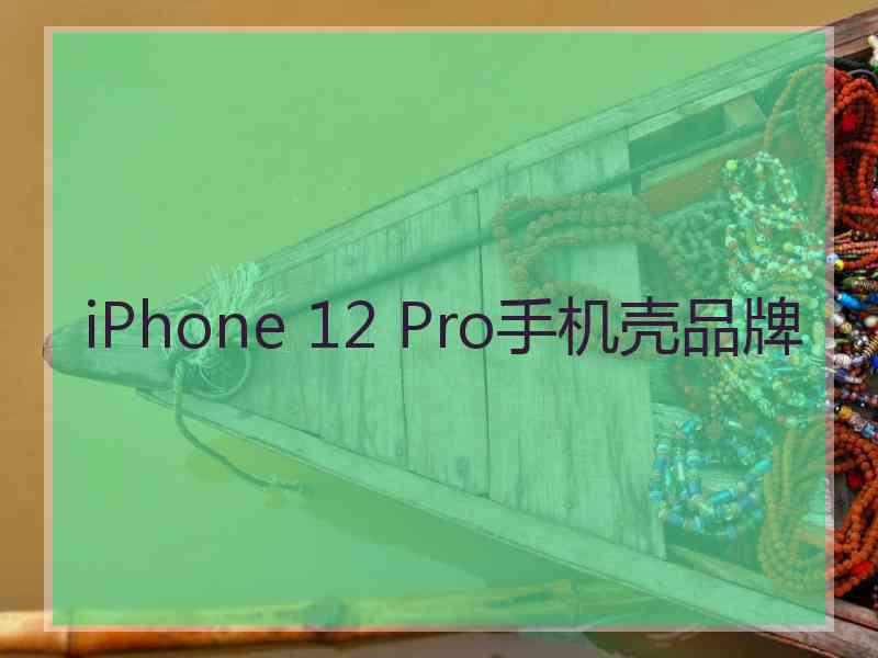 iPhone 12 Pro手机壳品牌