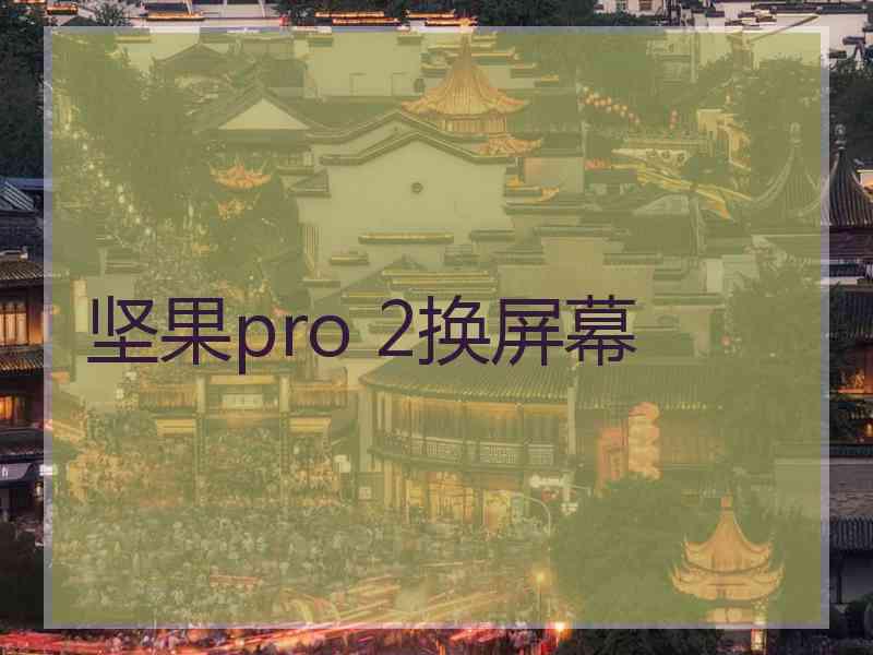 坚果pro 2换屏幕