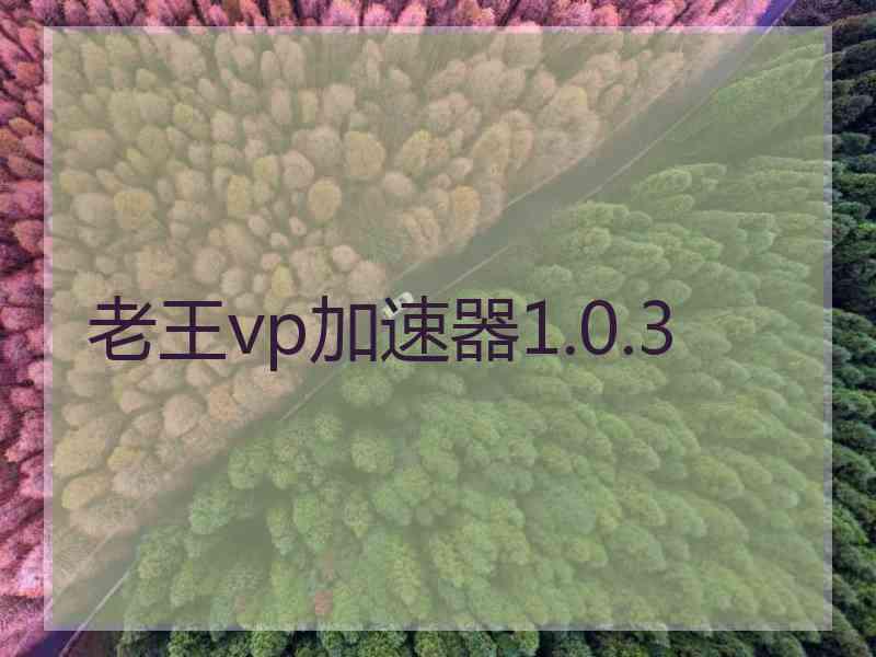 老王vp加速器1.0.3