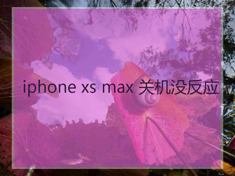 iphone xs max 关机没反应