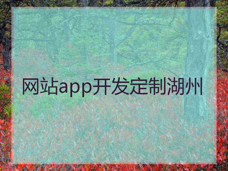 网站app开发定制湖州