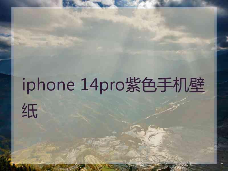 iphone 14pro紫色手机壁纸